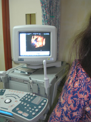 Ultrasound Scan in Progress
